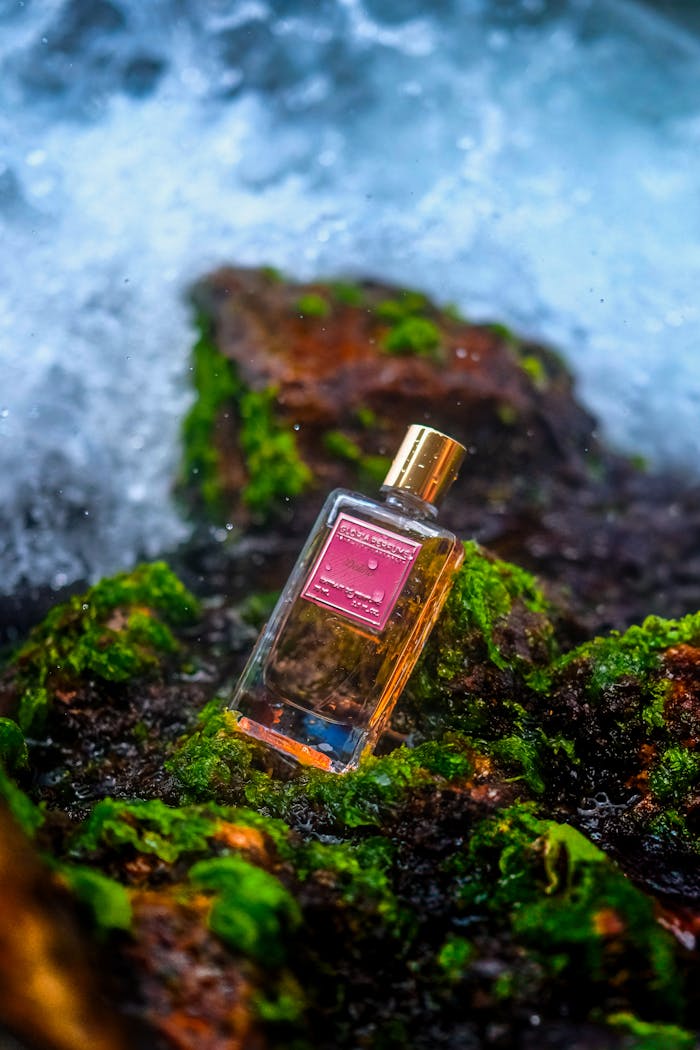 Perfume bottle elegantly placed on lush, moss-covered rocks with ocean backdrop.